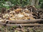 bild097.jpg --- erstellt mit  - www.abbe-felix.de